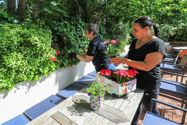 Florist arranging