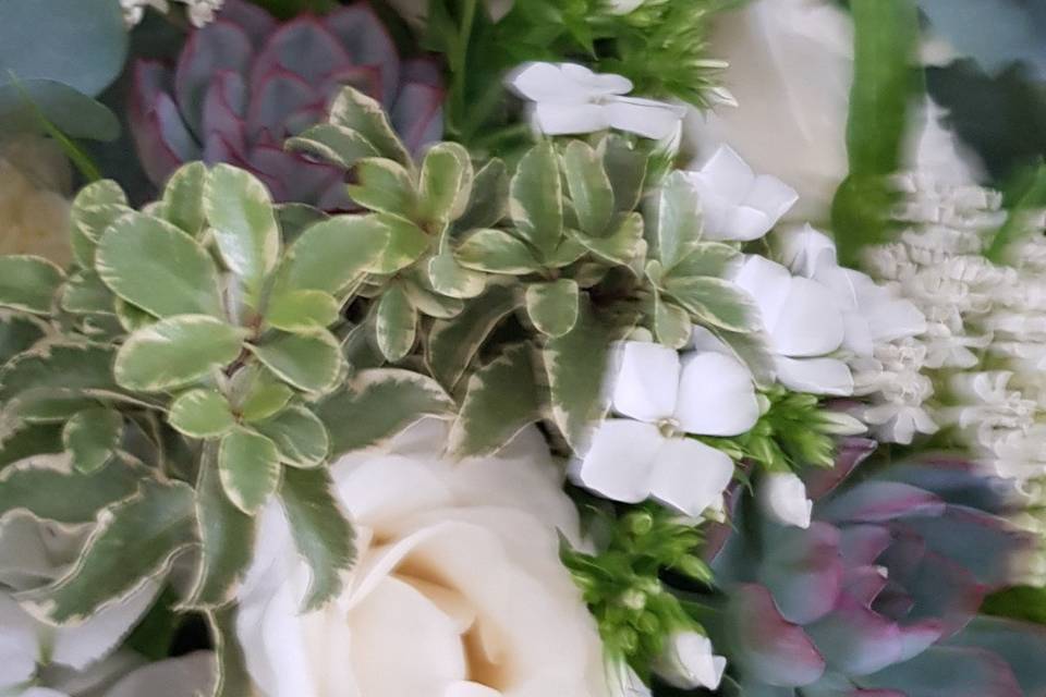 Wild and white with succulents