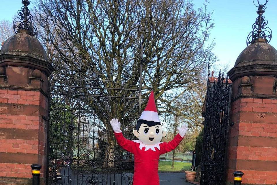 Elf Mascot Hire