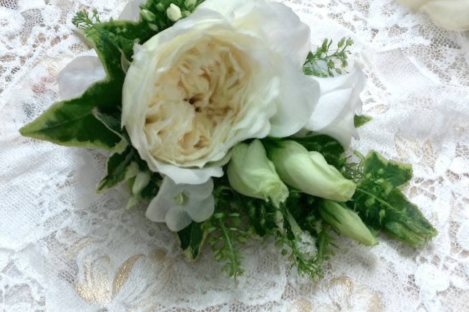 Ladies Cousage