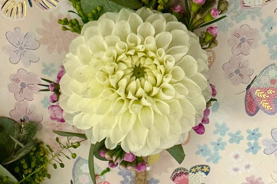 Dahlia buttonhole