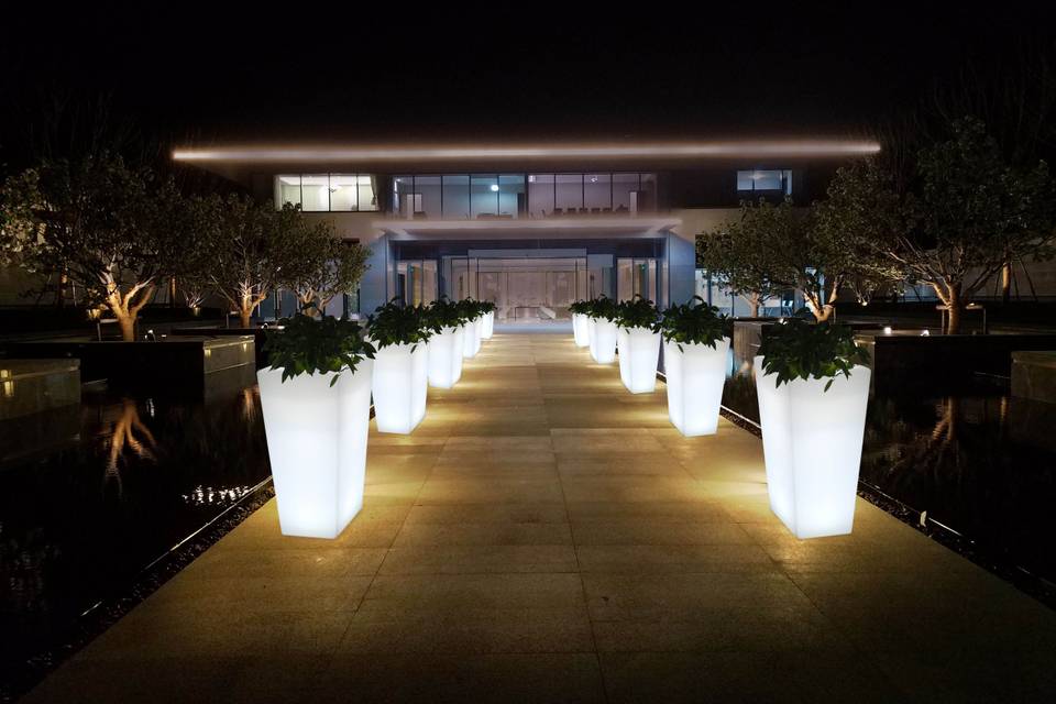 Custom LED flower pot
