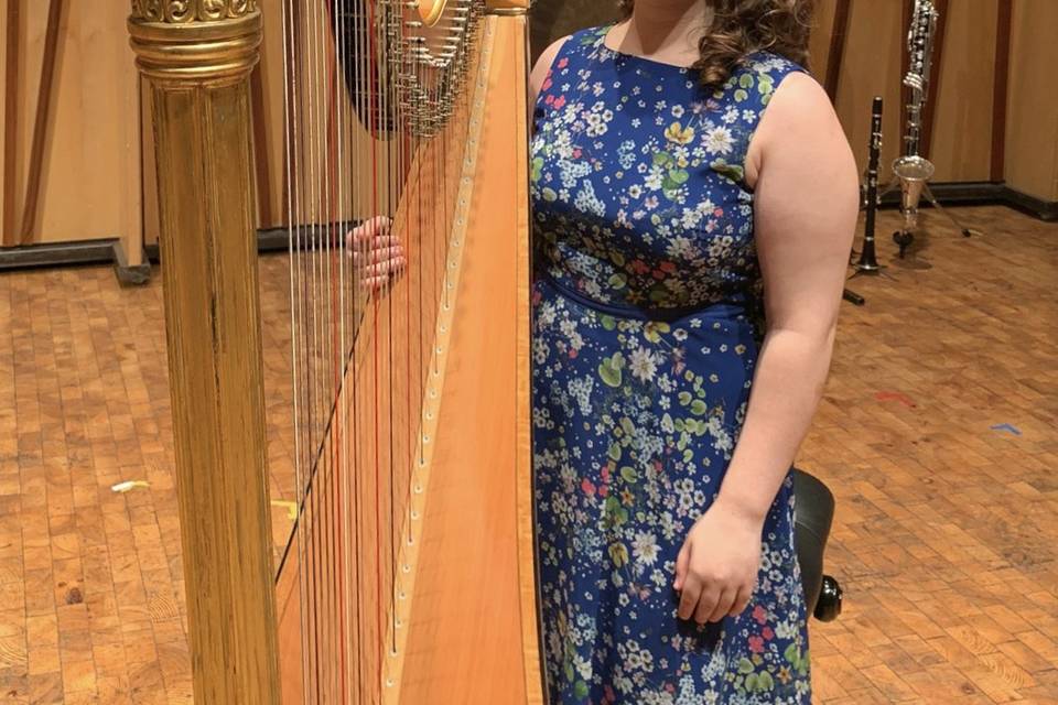 My beautiful harp