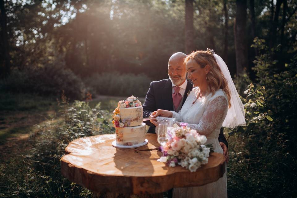 Cake cutting