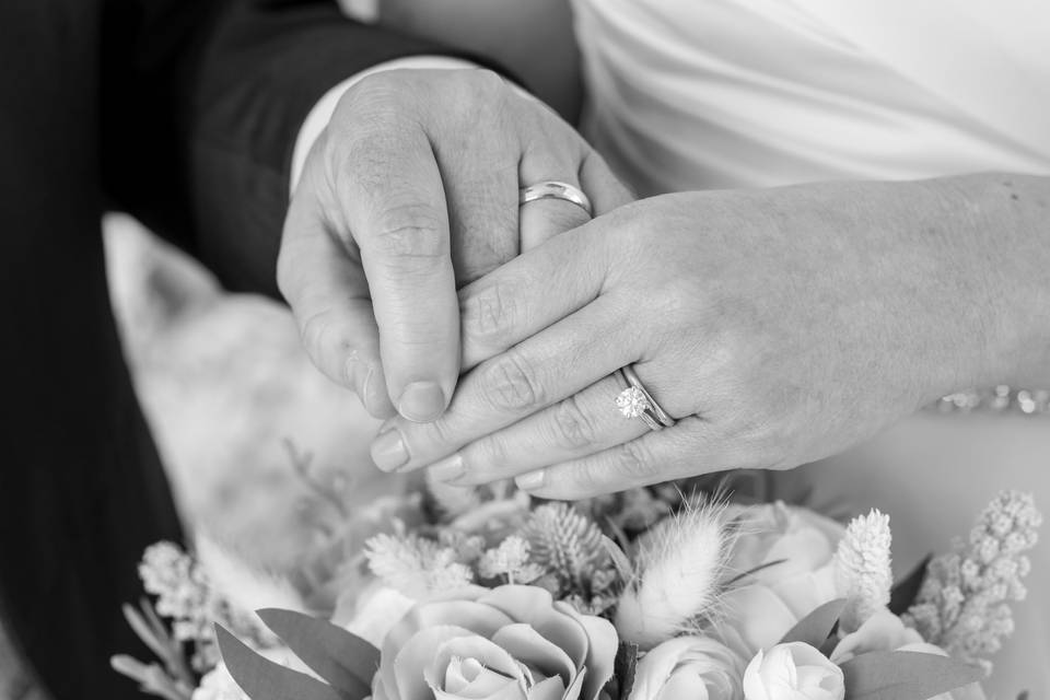 The rings