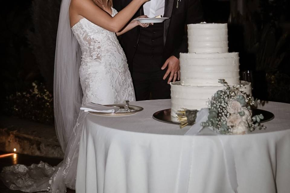 The Cake Cutting