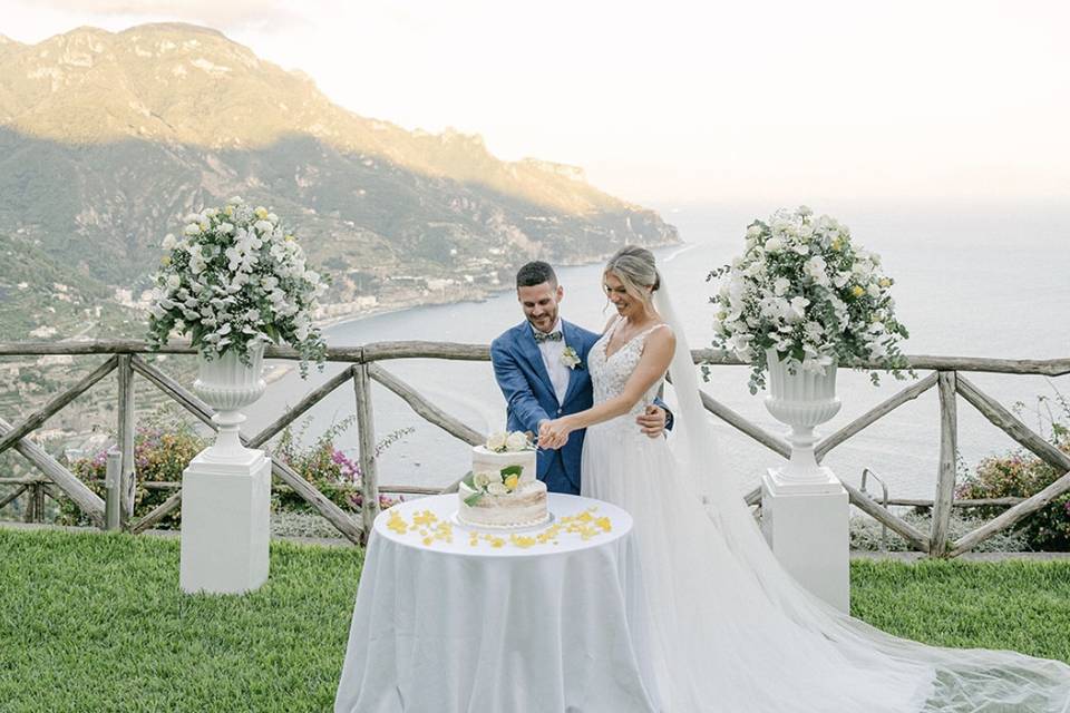 The Cake Cutting