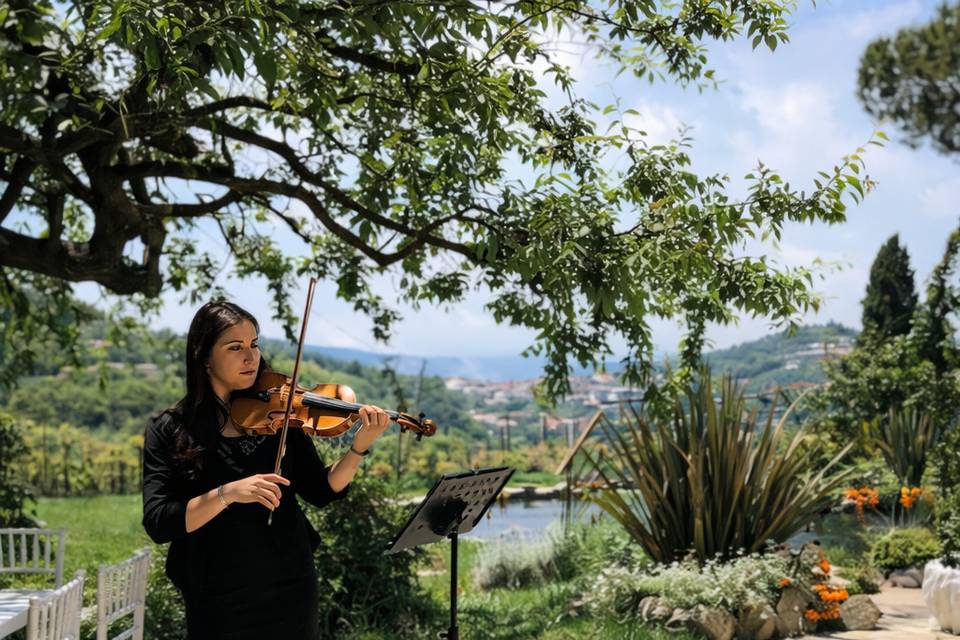 Violinist