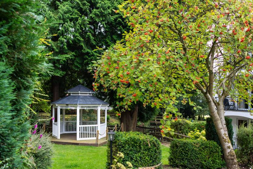 Ceremony trees