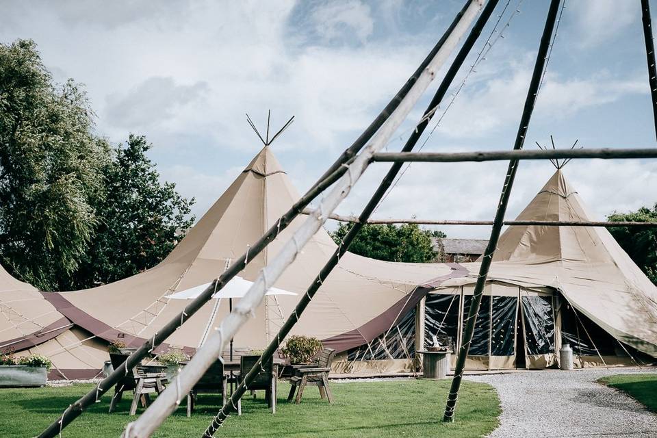 Tipi