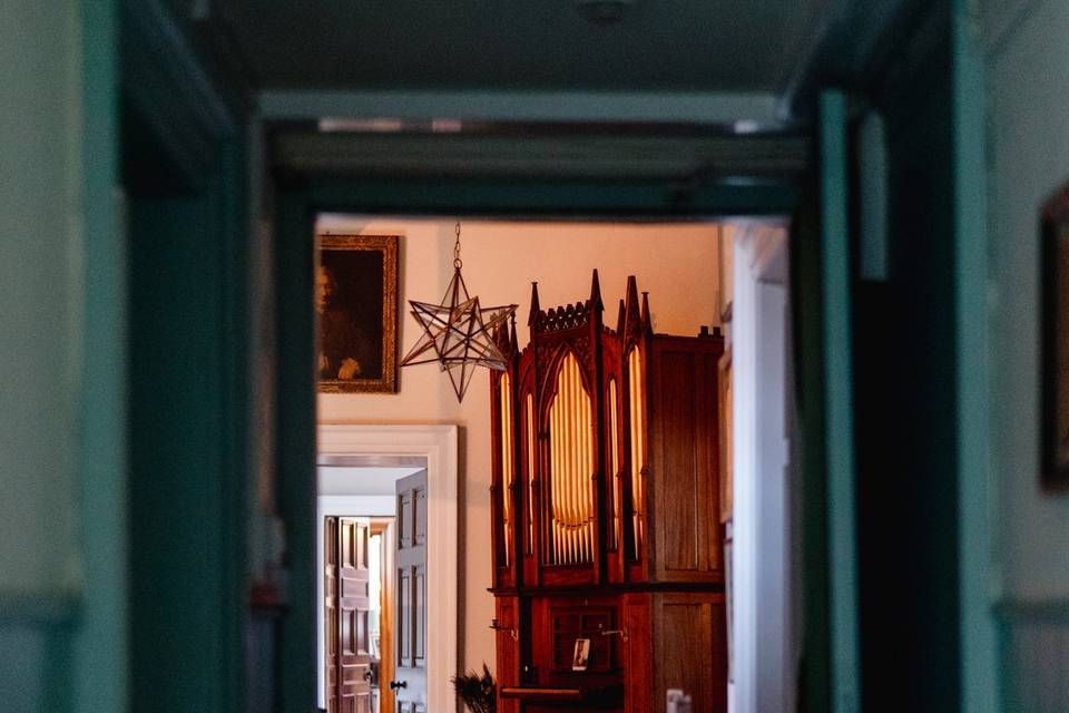 Organ View