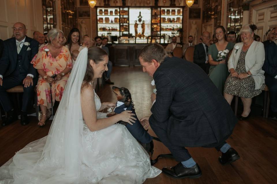 Dog ring bearer