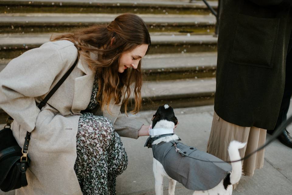 Dog Chaperone London