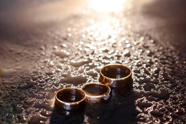 Wedding rings detail, South W