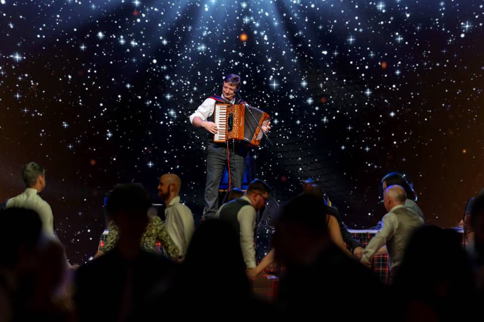 Professional accordionist