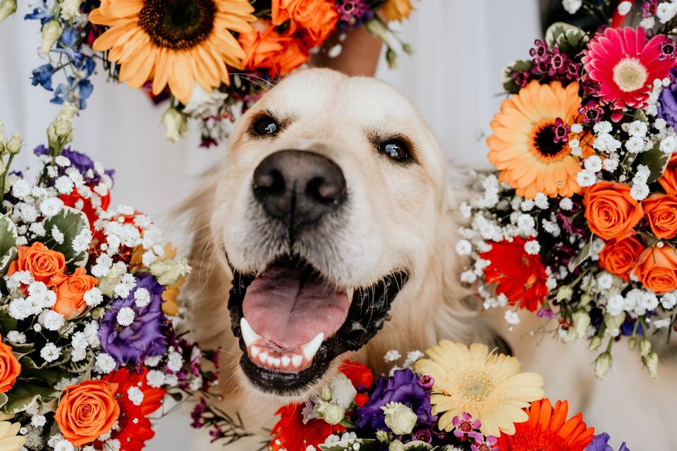 Beautiful Bridesmaid Extra!