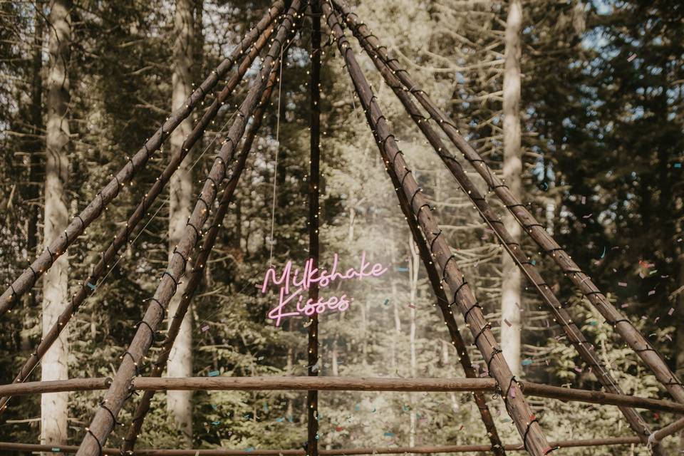 Naked tipi in the woods