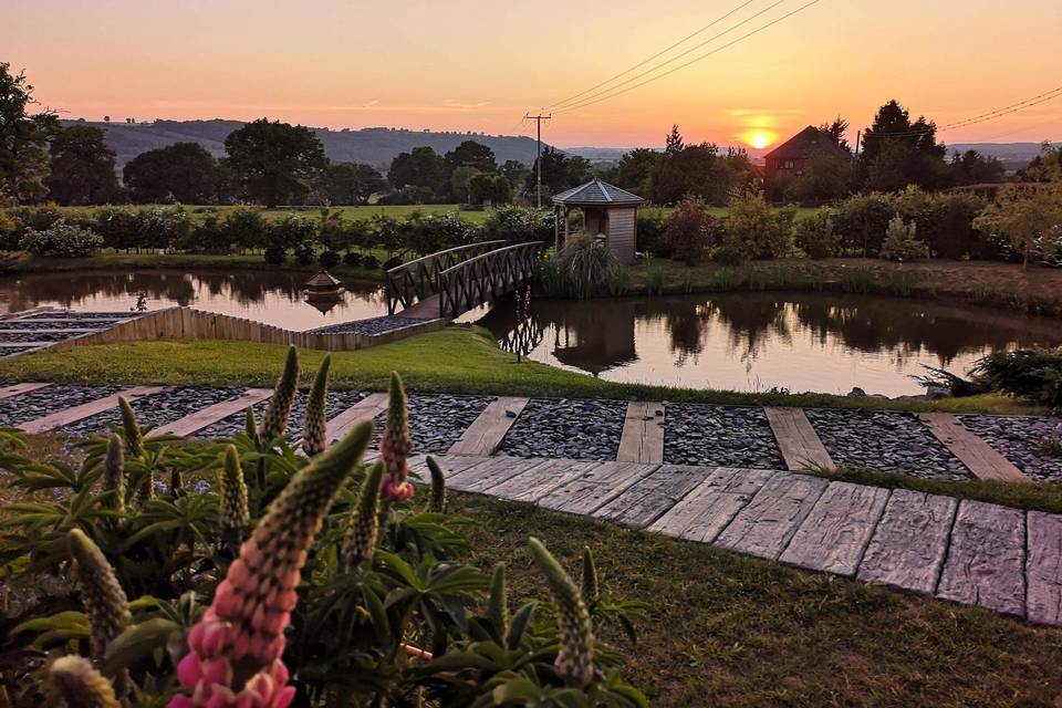 View of the gardens