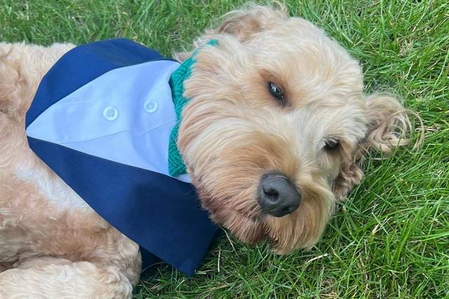 Ralph chilling