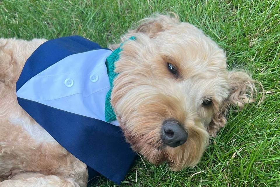 Ralph chilling