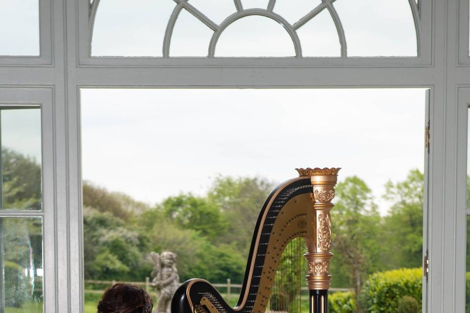 Harpist during ceremony