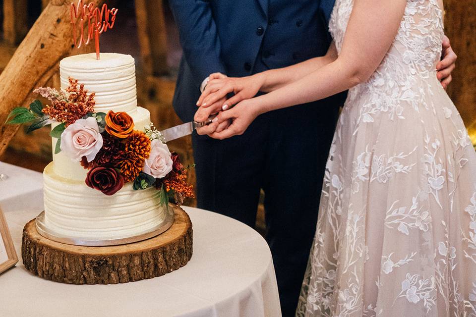 Crondon Park Candid Cake Cut