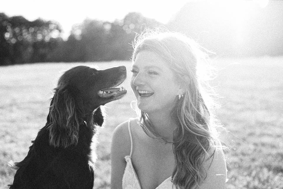 The Bride & Pet Dog