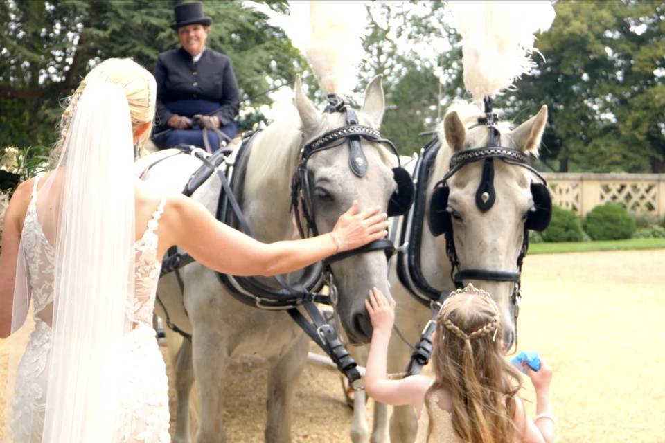 Mr & Mrs Wright - 21 Aug 2025