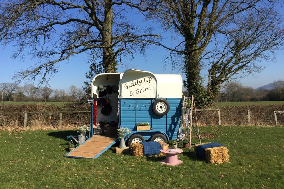 Blue horse box booth