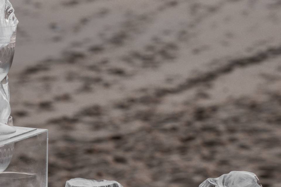 Beach Engagement