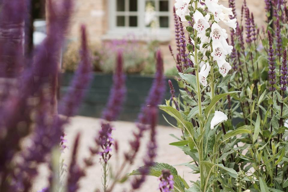 Cotswolds
