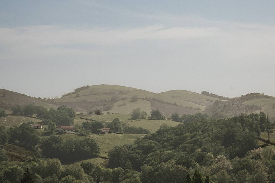 Countryside In France