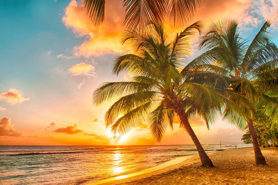 Paynes Beach/Barbados