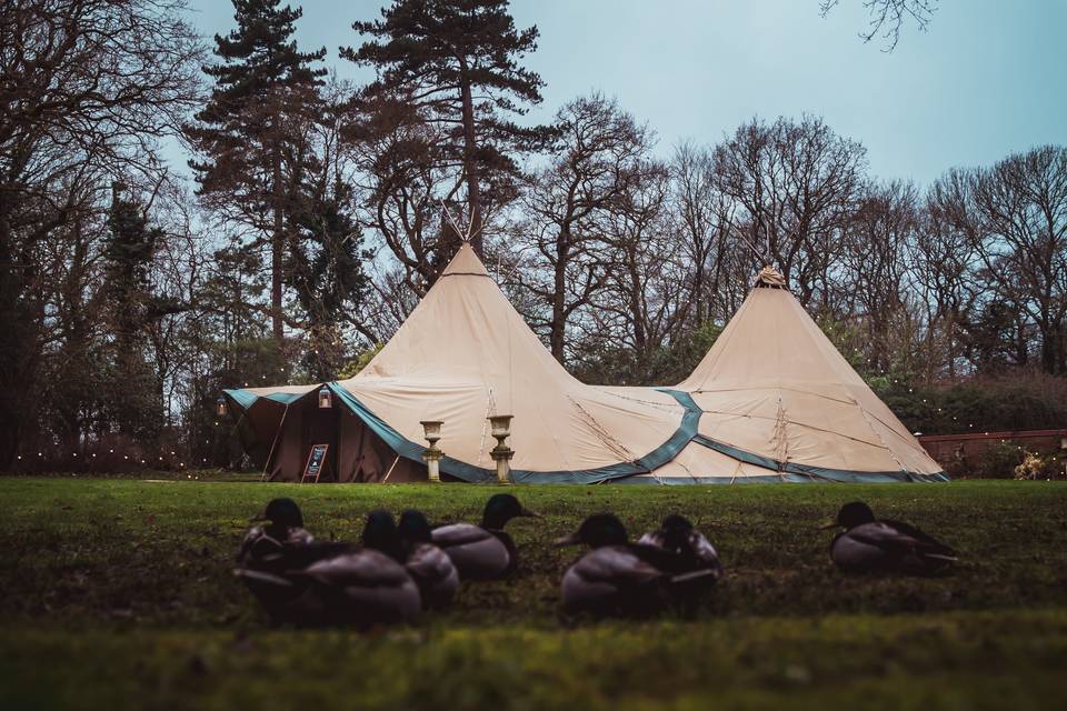 Tipi Weddings