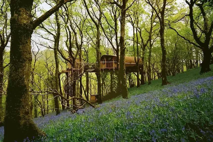 Luxury Treehouse