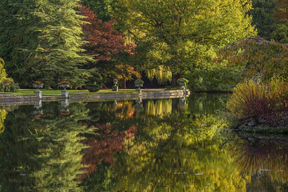 Garden lake reflection