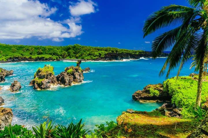 Tropical paradise