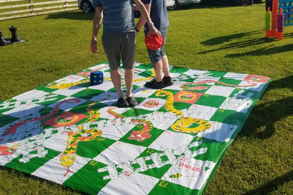 Giant Snakes and Ladders