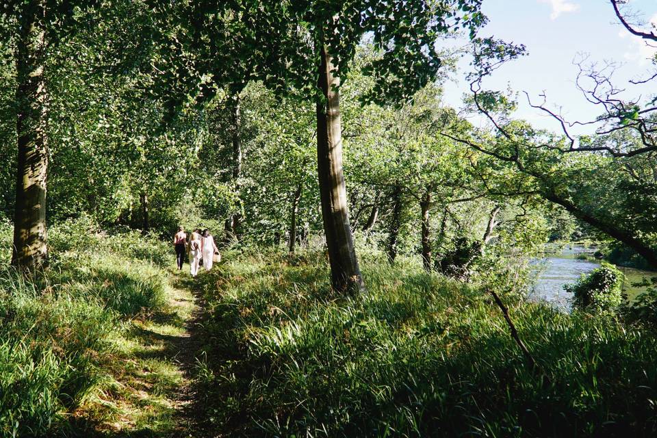 Woodland Walk