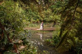 Abbotsbury Subtropical Gardens