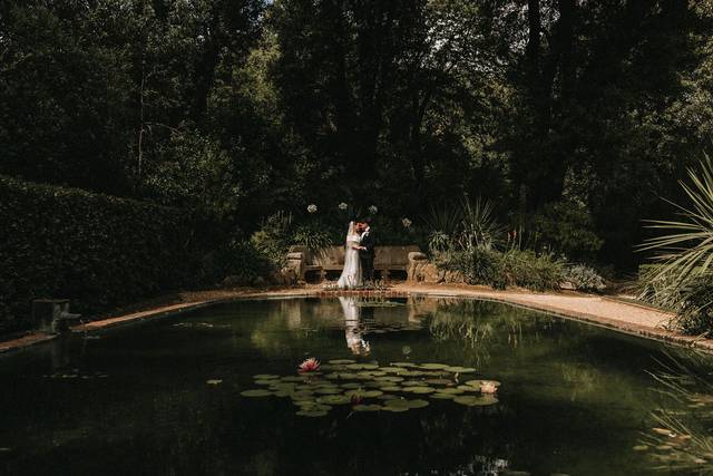 Lilyponds