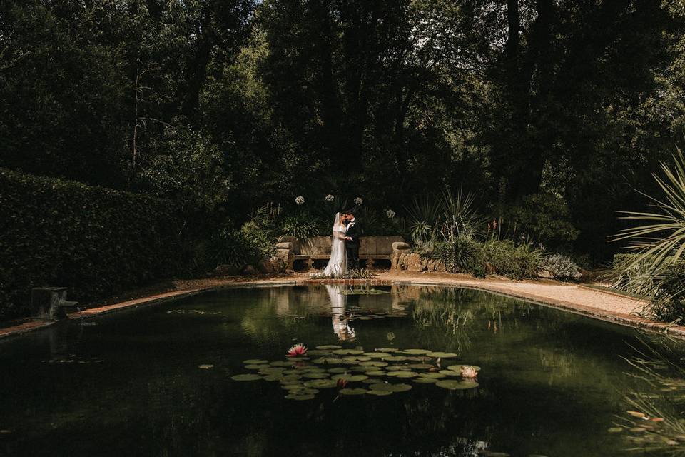 Lilyponds