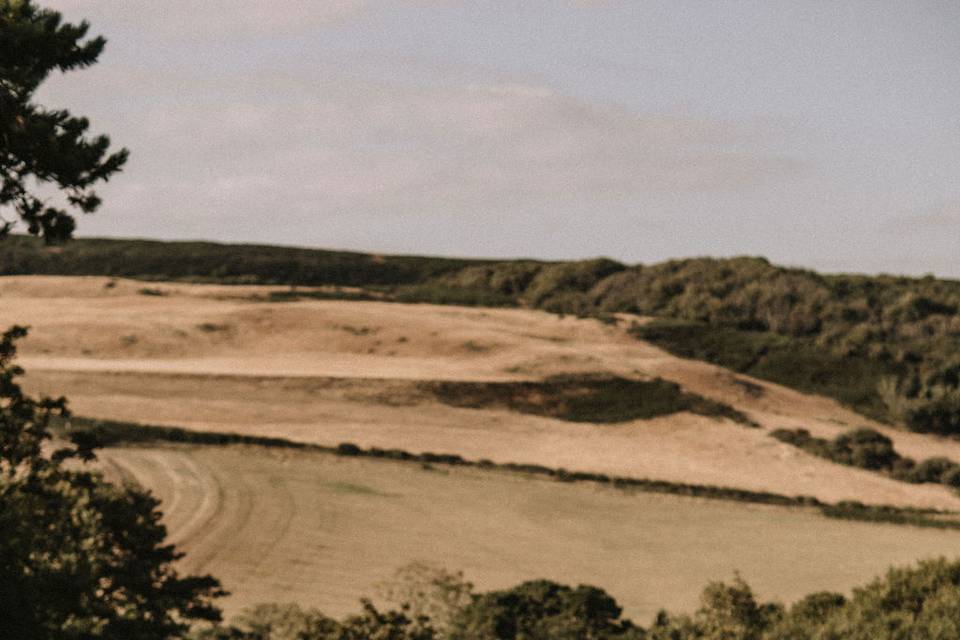 Viewpoint