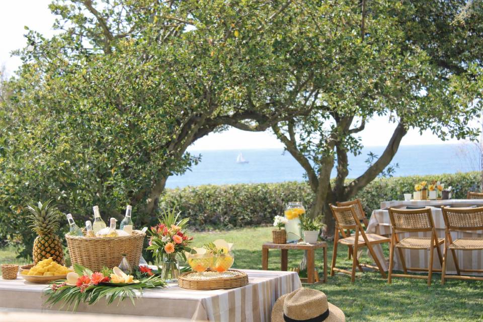 Summer party