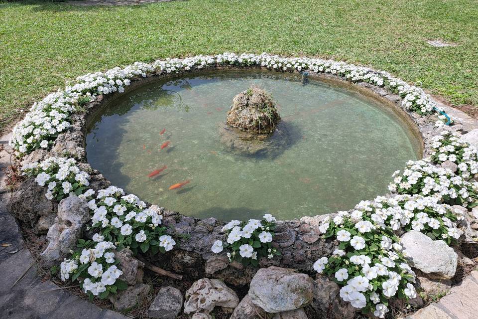 Fountain