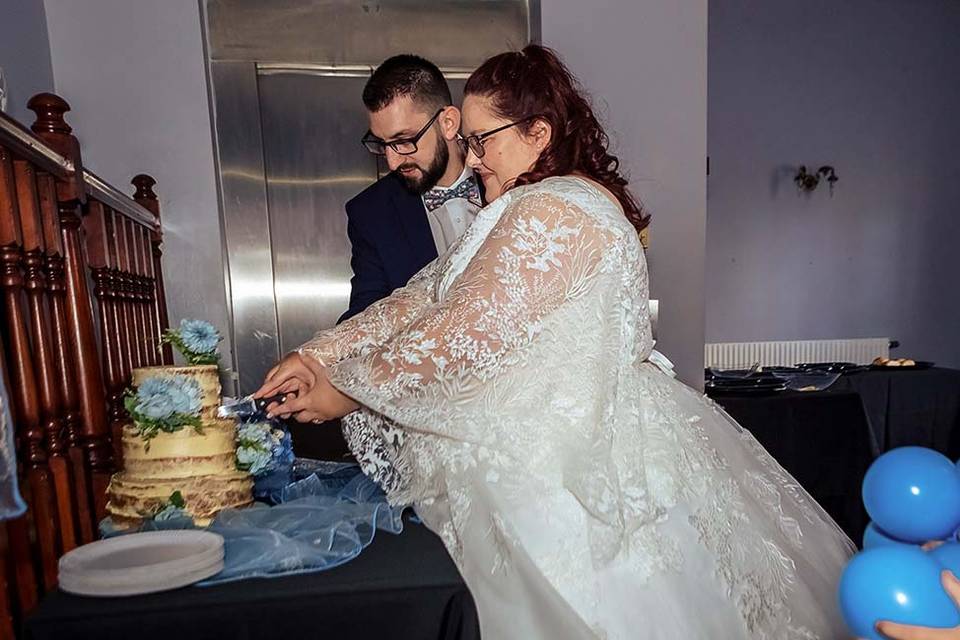 Bride and groom cutting cake