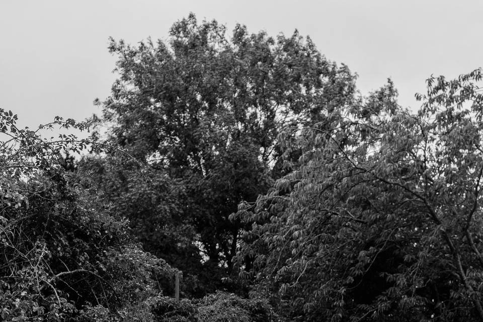 A collection of relaxed, natur