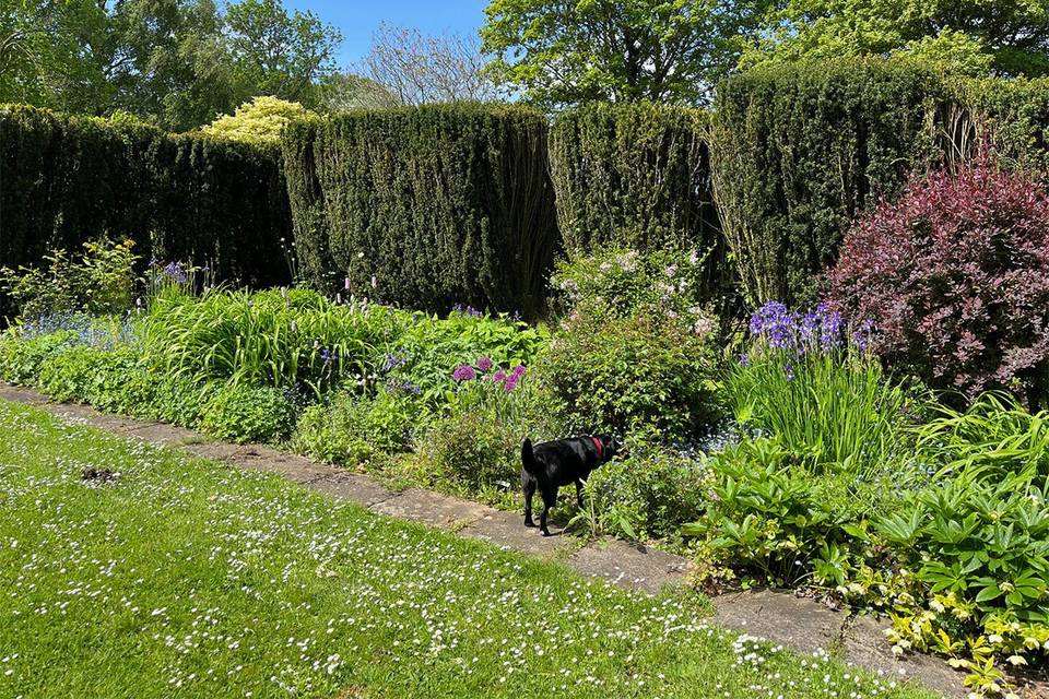 Flower bed and Pickle