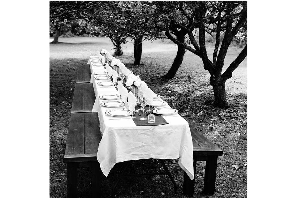 Orchard dining