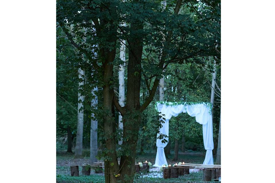 Woodland alter at dusk